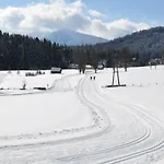 Gaestehaus Erle * Рамзау-ам-Дахштайн