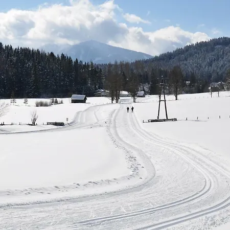 Gaestehaus Erle * Ramsau am Dachstein